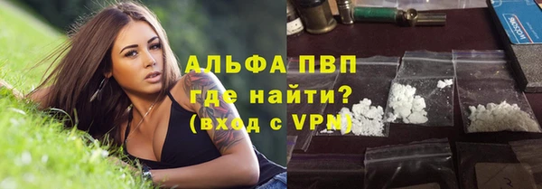 стаф Баксан