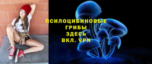 стаф Баксан