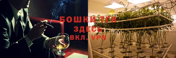 стаф Баксан