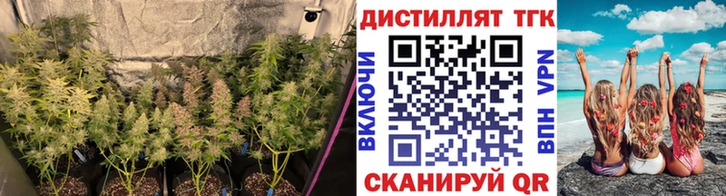 ТГК концентрат  Купить закладки  Белореченск 