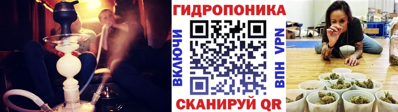 Бошки марихуана марихуана  Купить  Белореченск 